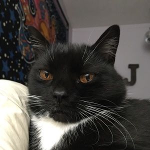 Meet your Posher, Jordan